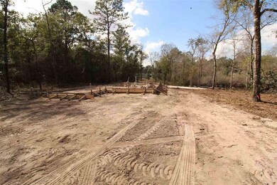 28 Dustin Ln, Crawfordville, FL 32327 - photo 7