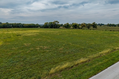 003 Locust Rd, Carl Junction, MO 64834 - photo 3