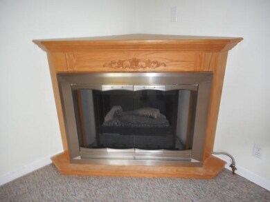 Living Room Fireplace
