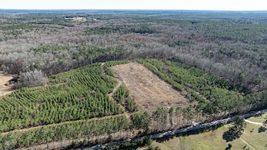 0 Lake Rd, Clinton, SC 29325 - photo 2