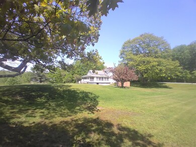 Pasture view