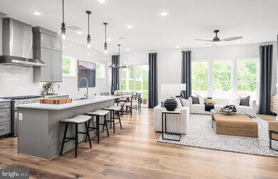 10255 Emerald Ln, Chantilly, VA 20152 - photo 2