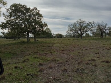 Tree Area