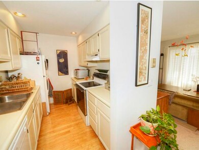 71 S Williams St unit 4, Burlington, VT 05401 - photo 6