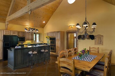 2373 Upper Cattle Creek Rd, El Jebel, CO 81623 - photo 5