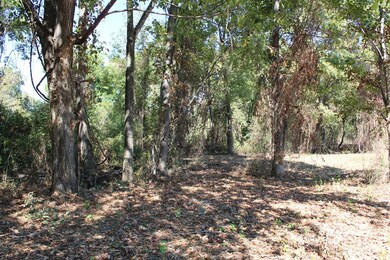 TBD Deerfield Ln, New Boston, TX 75570 - photo 7