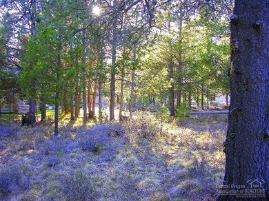 2 Sumac Ln, Sunriver, OR 97707 - photo 5