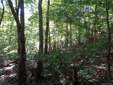 51 Morning Star Dr unit 27, Leicester, NC 28748 - photo 5