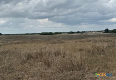 00 County Road 302, Runge, TX 78151 - photo 6