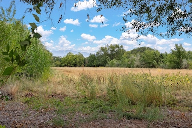 0 Wallace Ln unit 1072617, Corrales, NM 87048 - photo 4