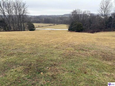 600 Cora Wilborn Rd, Summer Shade, KY 42166 - photo 3