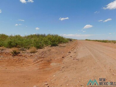 - Dr Unit 105 Bk 7, Deming, NM 88030 - photo 6