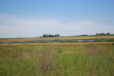 TBD 60th St, East Chain Township, MN 56013 - photo 3