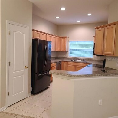 9907 Serona Bluff Way, Tampa, FL 33619 - photo 3