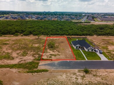 4545 Old Stone Dr unit 9, San Angelo, TX 76904 - photo 2