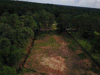 28332 Meadow Forest, Magnolia, TX 77355 - photo 4