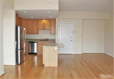 20 Livingston Ave unit 404, New Brunswick, NJ 08901 - photo 4