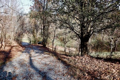 1011 Clark Branch Rd, Asheville, NC 28806 - photo 5