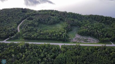 (Lot 5) TBD Waterfront Ln, Little Elbow Township, MN 56569 - photo 5