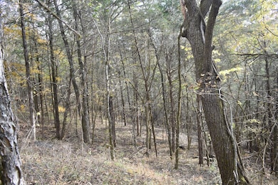 0 Gladdice Hwy unit RTC3042612, Gainesboro, TN 38562 - photo 7