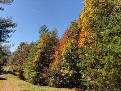 Easy access to private, mountain living with views