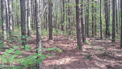 Lot 14 Airport Rd (Pca), Rockwood, TN 37854 - photo 7