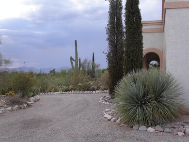 Orange Grove 2010 028