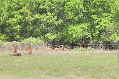 155 Moellering Rd, Fredericksburg, TX 78624 - photo 3