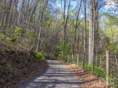45 Meandering Trail, Asheville, NC 28806 - photo 2