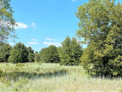 1200 Ross Ln, Springtown, TX 76082 - photo 4