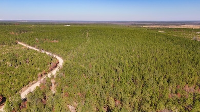 0 Beaver Dam Rd unit 25031385, Cassatt, SC 29032 - photo 2