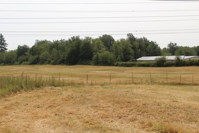 0 E Smith Rd unit 809380, Bellingham, WA 98226 - photo 4