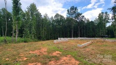 4299 Brandy Creek Ct, Clover, SC 29710 - photo 6