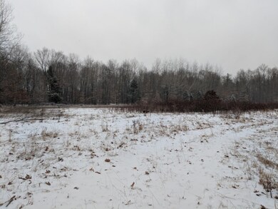 00 W 48th St, Newaygo, MI 49337 - photo 7