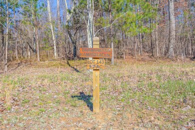 1755 River Bluffs Dr, Jasper, TN 37347 - photo 3