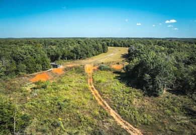 5225 Engledow Rd, de Soto, MO 63020 - photo 4