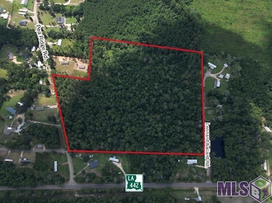 TBD H-5 Pea Ridge Rd, Albany, LA 70711 - photo 3