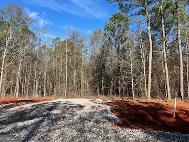 150 Berry Rd, Barnesville, GA 30204 - photo 3