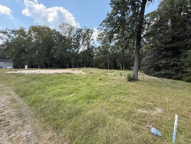 110 Magnolia Dr, McIntyre, GA 31054 - photo 2