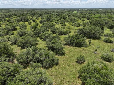 0 Terryville Church Rd unit 25511200, Yoakum, TX 77995 - photo 4