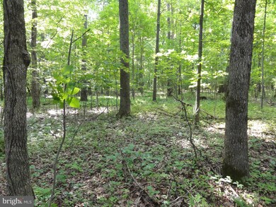 0 Purcellville Rd unit VALO415100, Purcellville, VA 20132 - photo 2