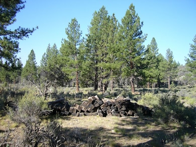 0 20 Acres Off Technor Robison Rd unit 20250909, MacDoel, CA 96058 - photo 5