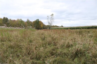 4156 State Route 167, Jefferson, OH 44047 - photo 4