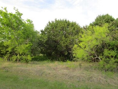 12019 Trailwood Dr, Whitney, TX 76692 - photo 4