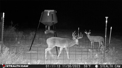 10500 Cr 131, Brownwood, TX 76801 - photo 3