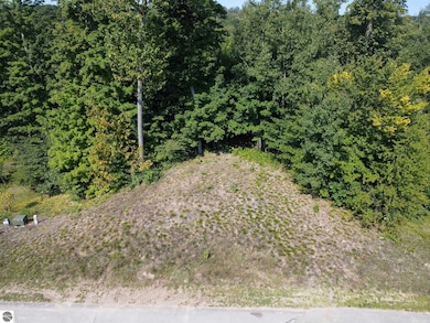 1955 N Blue Water Ct unit 2, Suttons Bay, MI 49682 - photo 3