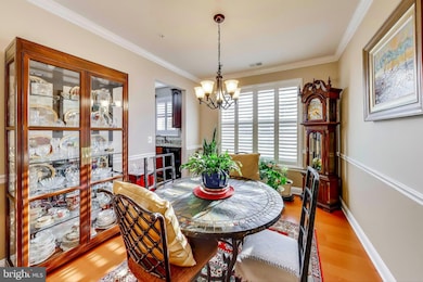 3011 Dexter Dr unit 406, Ellicott City, MD 21043 - photo 7