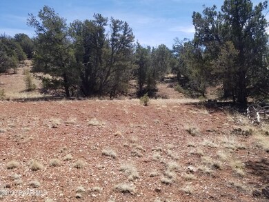 269a Off Cone Rd, Ash Fork, AZ 86320 - photo 6