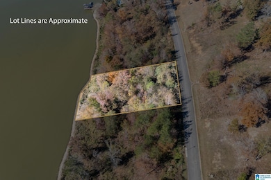 0 Willow Dr unit 21436835, Lincoln, AL 35096 - photo 5