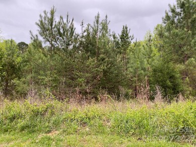 134 River Bank Rd, Statesville, NC 28625 - photo 2